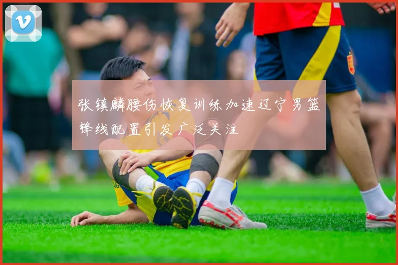 张镇麟腰伤恢复训练加速辽宁男篮锋线配置引发广泛关注